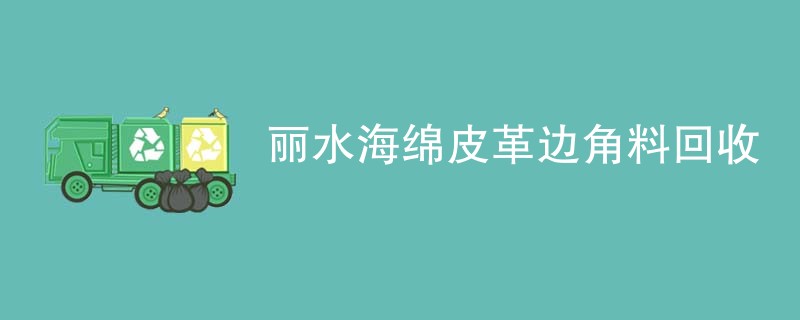 丽水海绵皮革边角料回收