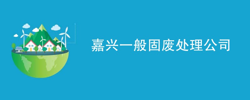 嘉兴一般固废处理公司