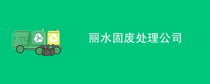 丽水固废处理公司