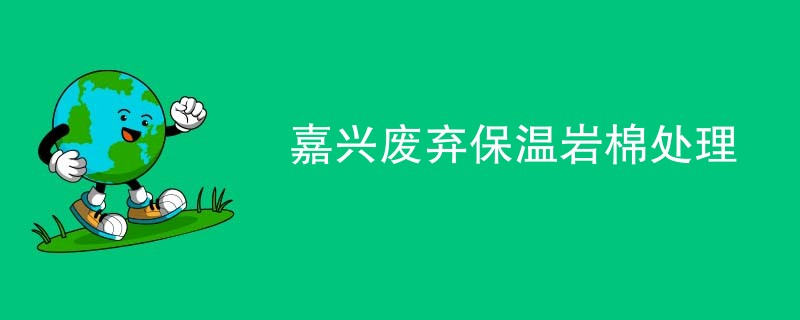 嘉兴废弃保温岩棉处理