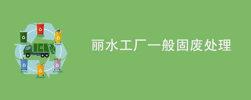 丽水工厂一般固废处理