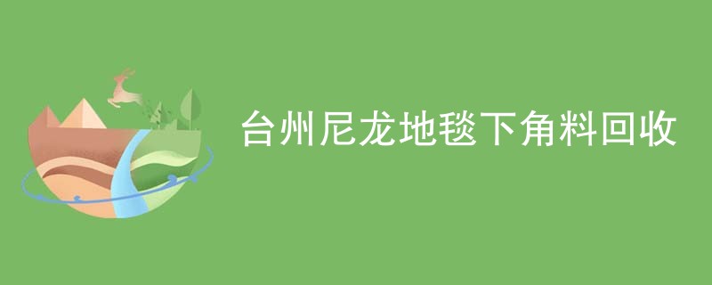 台州尼龙地毯下角料回收