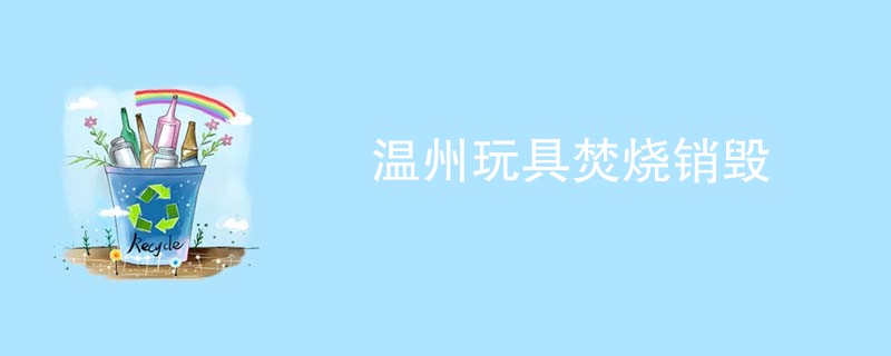 温州玩具焚烧销毁