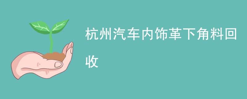 杭州汽车内饰革下角料回收