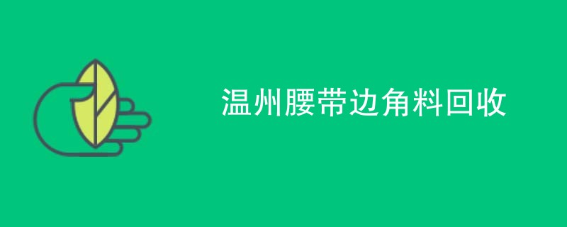 温州腰带边角料回收