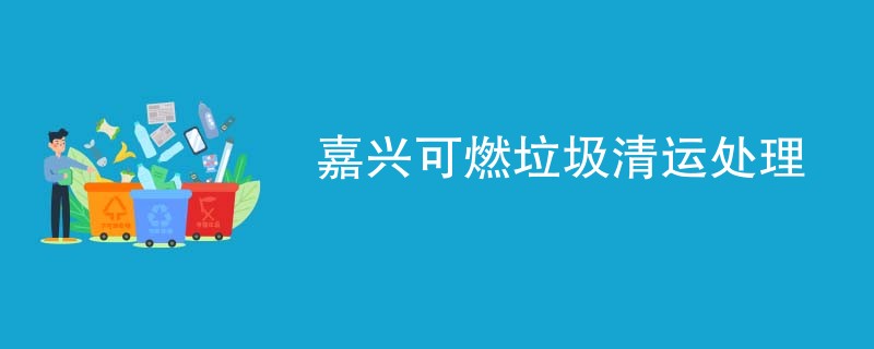 嘉兴可燃垃圾清运处理