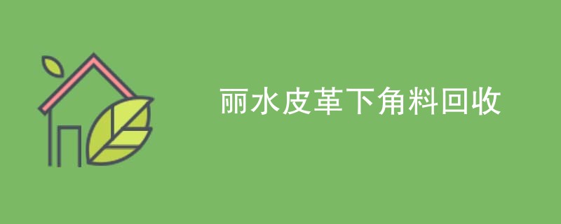 丽水皮革下角料回收