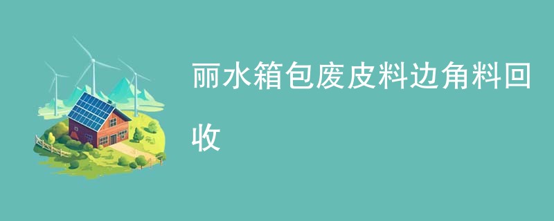 丽水箱包废皮料边角料回收