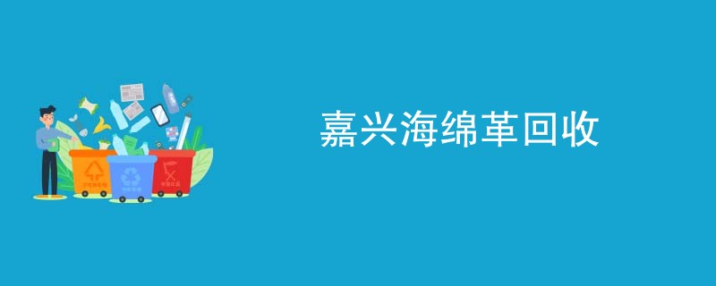 嘉兴海绵革回收