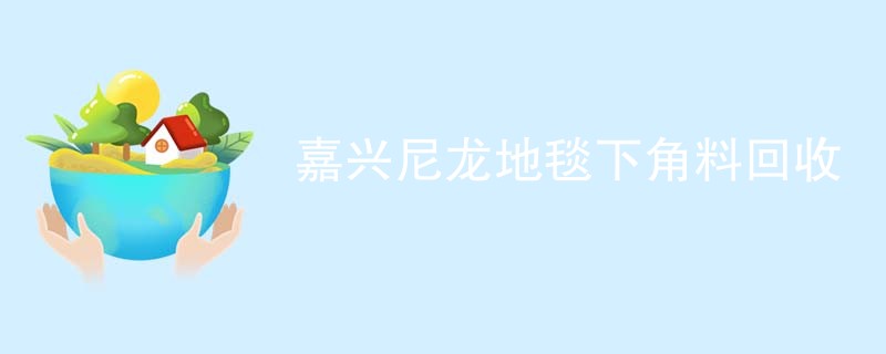 嘉兴尼龙地毯下角料回收