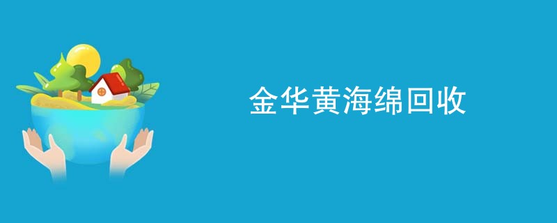 金华黄海绵回收