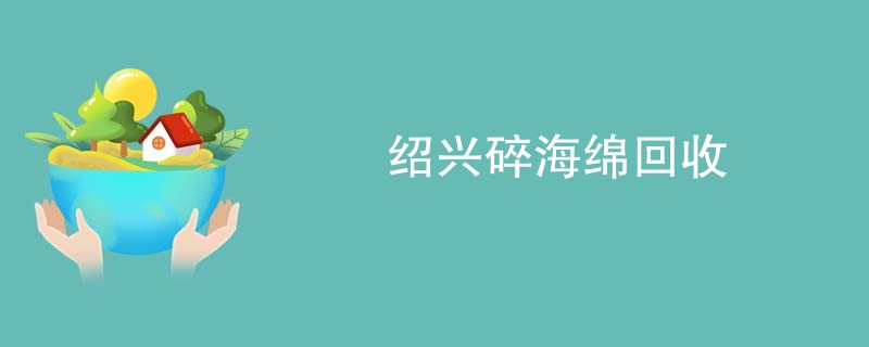 绍兴碎海绵回收