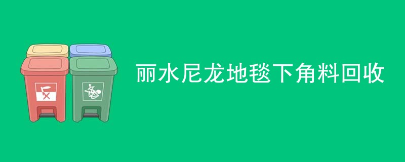 丽水尼龙地毯下角料回收