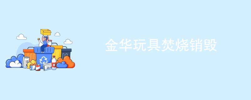 金华玩具焚烧销毁