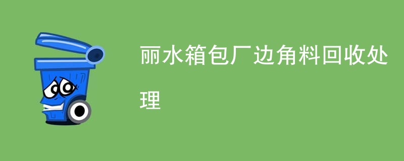 丽水箱包厂边角料回收处理