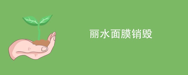 丽水面膜销毁