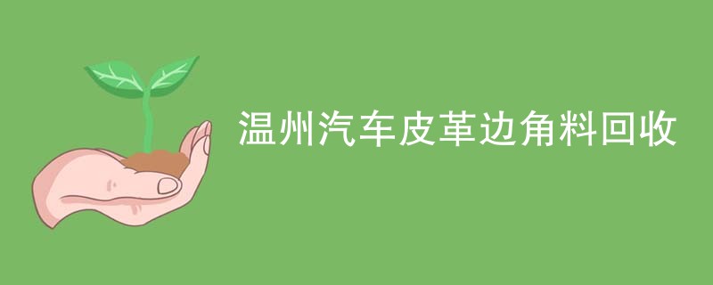 温州汽车皮革边角料回收